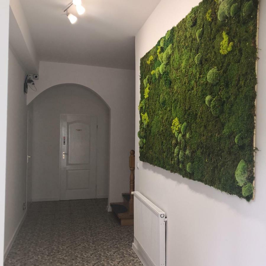 Las Dwa Trzy Ośno Lubuskie Exteriör bild
